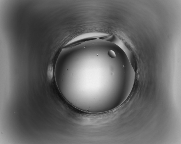X0000096200021200801181350