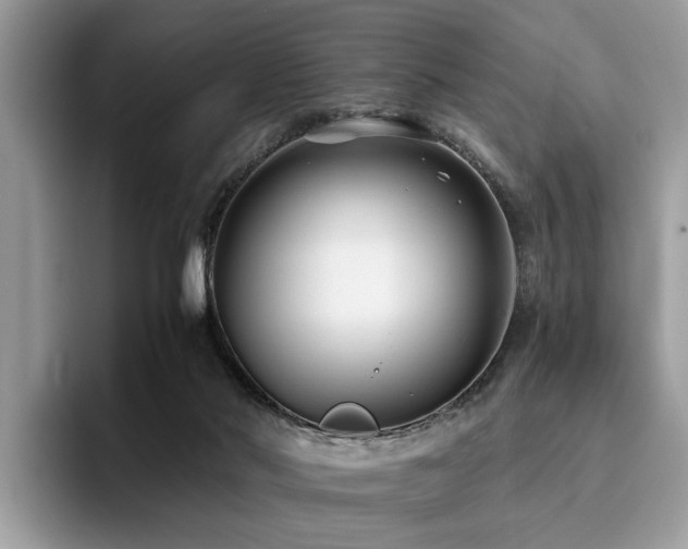 X0000096200022200801181350