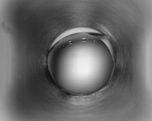 X0000096200025200801181350