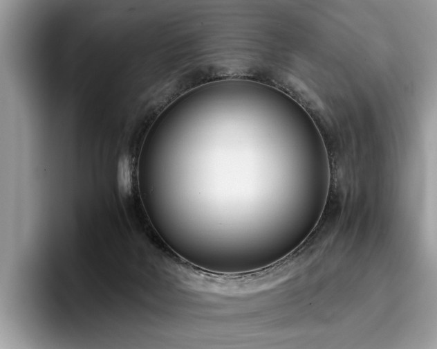 X0000096200026200801181350