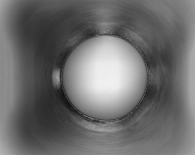 X0000096200028200801181350