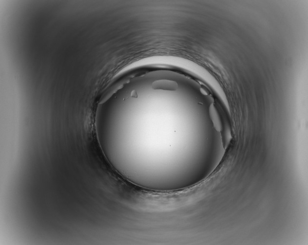 X0000096200029200801181350