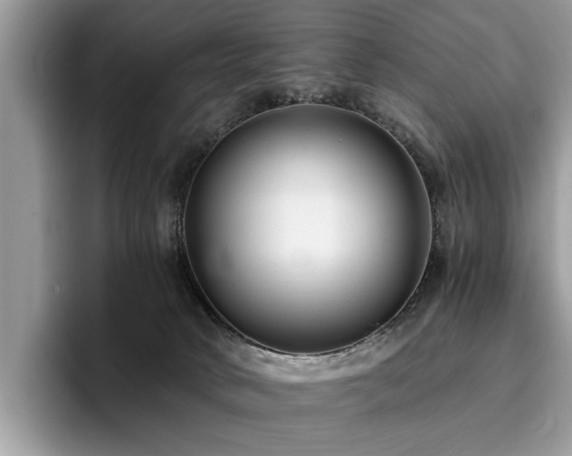 X0000096200034200801181350