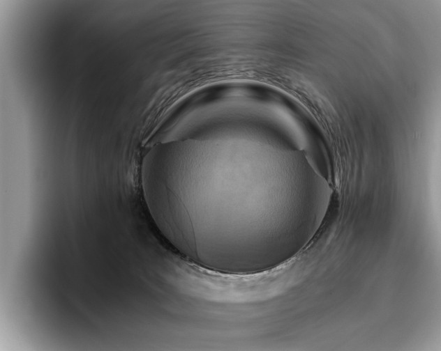 X0000096200035200801181350