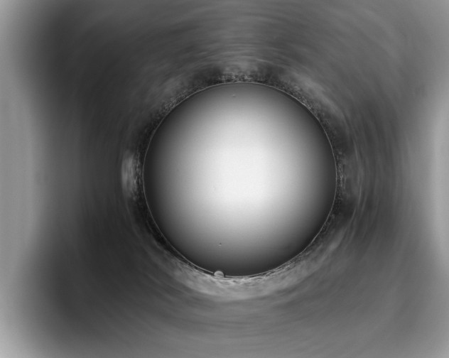X0000096200038200801181350