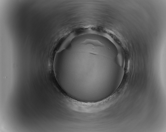 X0000096200039200801181350