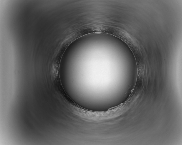 X0000096200043200801181350
