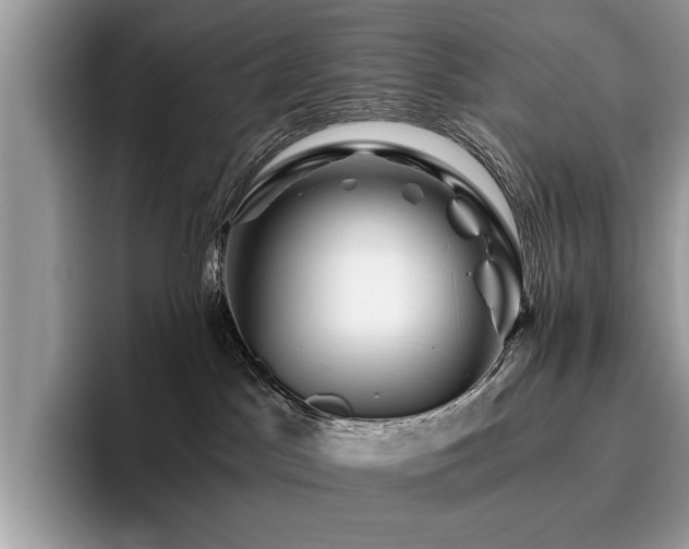 X0000096200045200801181350