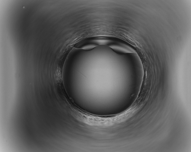X0000096200048200801181350