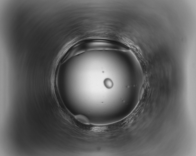X0000096200051200801181349