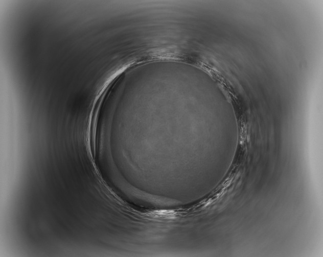 X0000096200052200801181349