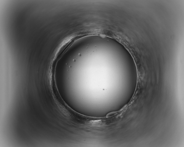 X0000096200054200801181349