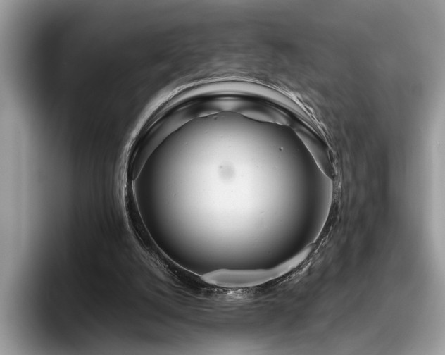 X0000096200056200801181349