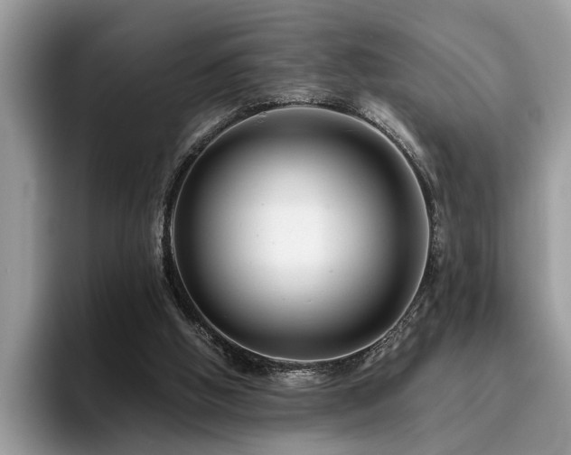 X0000096200058200801181349