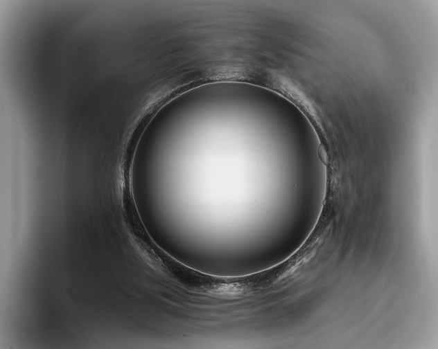 X0000096200059200801181349