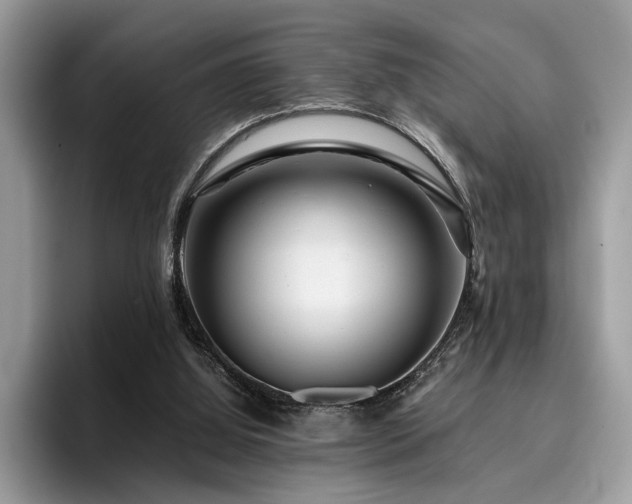 X0000096200060200801181349