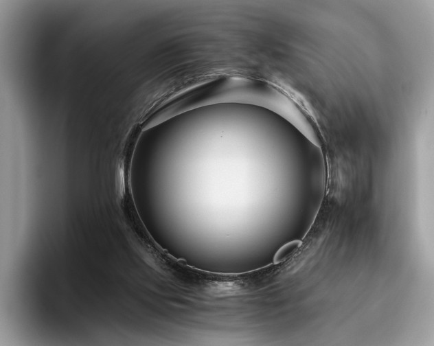 X0000096200061200801181349