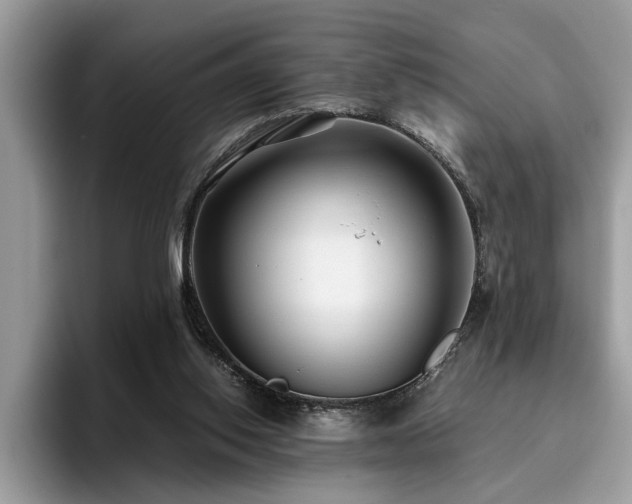 X0000096200062200801181349