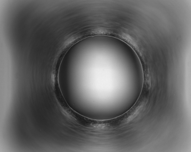 X0000096200063200801181349