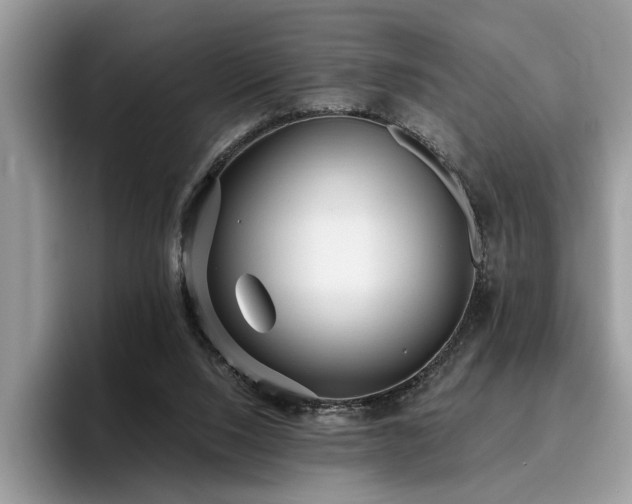 X0000096200064200801181349