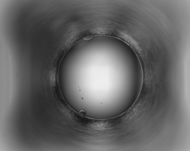 X0000096200065200801181349