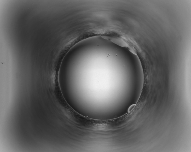 X0000096200066200801181349
