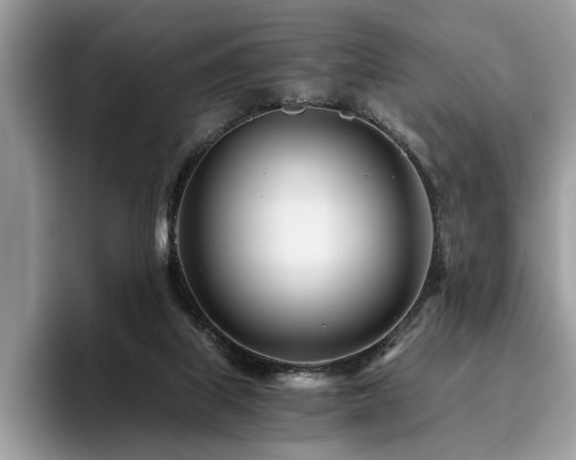 X0000096200067200801181349