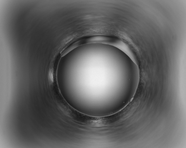 X0000096200068200801181349