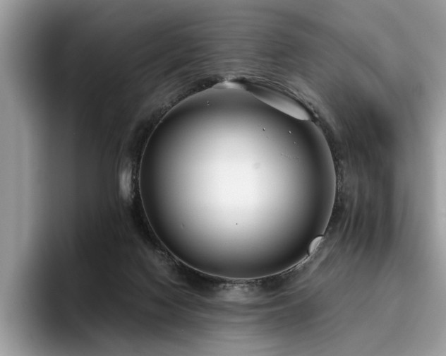 X0000096200074200801181349