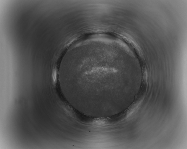 X0000096200076200801181349