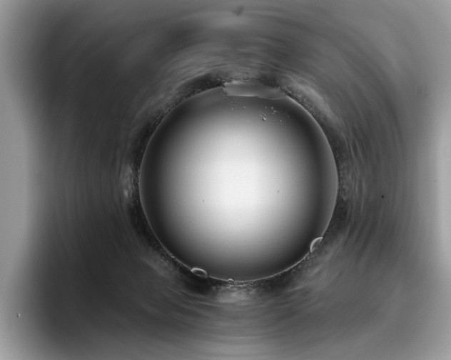 X0000096200077200801181349