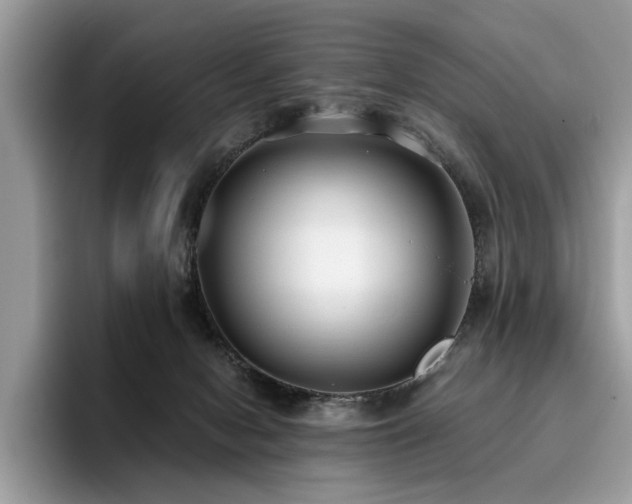 X0000096200078200801181349