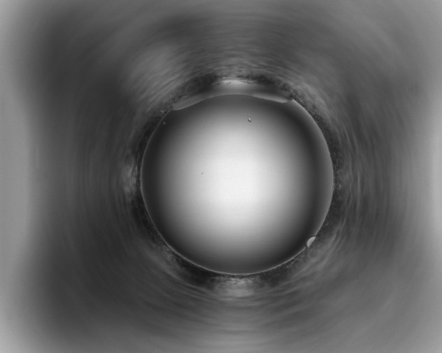 X0000096200081200801181349