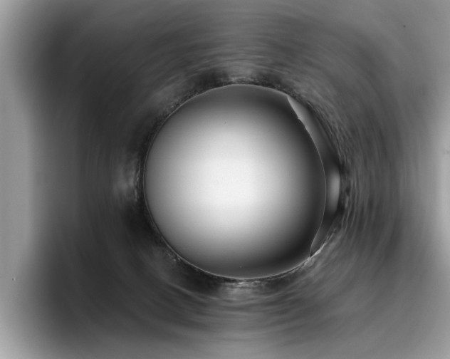 X0000096200082200801181349