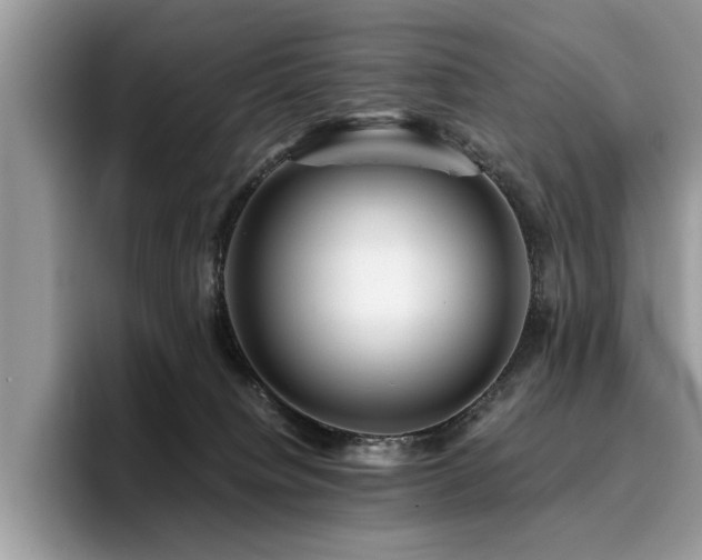 X0000096200084200801181349