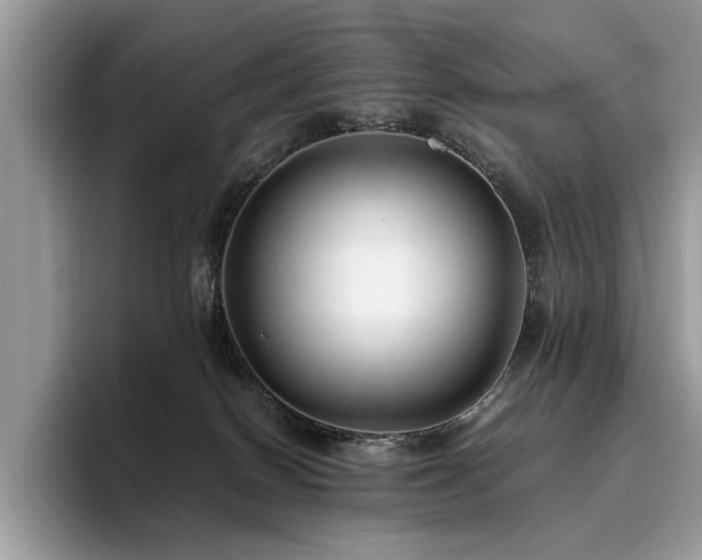 X0000096200086200801181349