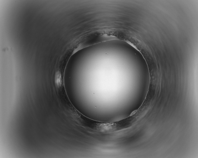 X0000096200089200801181349