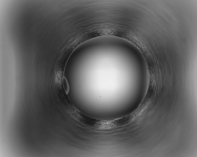 X0000096200093200801181349