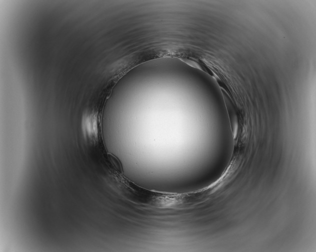 X0000096200094200801181350
