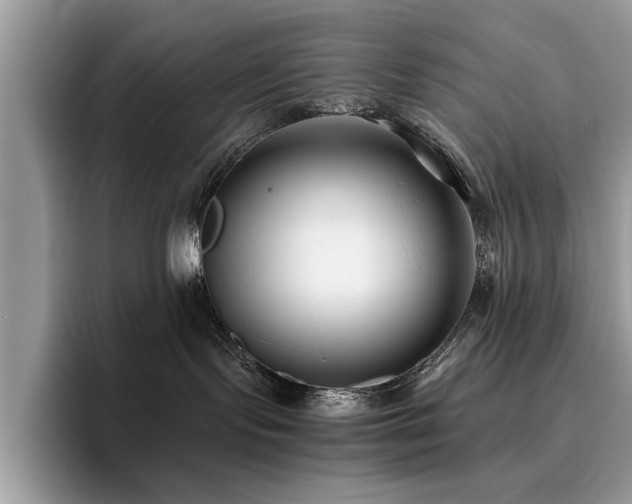 X0000096200095200801181350