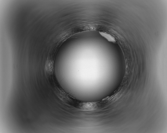 X0000096200096200801181350