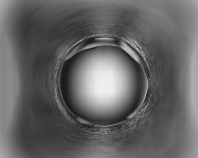 X0000096200097200801181349
