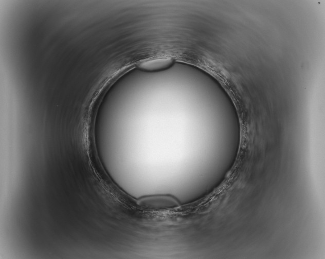 X0000096200098200801181349