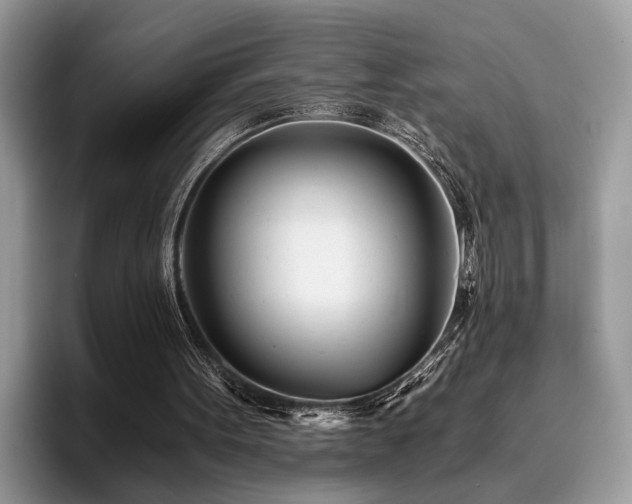 X0000096200099200801181349