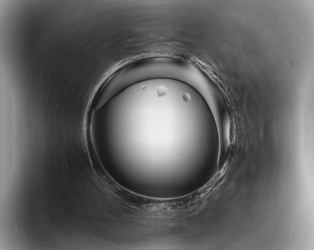 X0000096200100200801181349