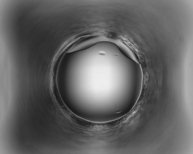 X0000096200101200801181349
