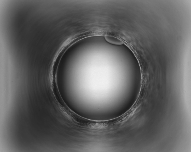 X0000096200102200801181349