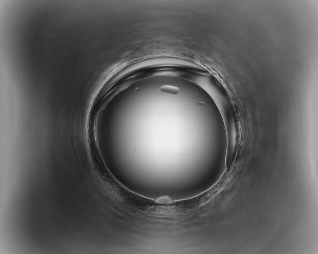 X0000096200104200801181349