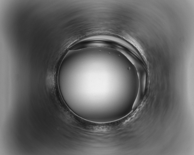 X0000096200105200801181349
