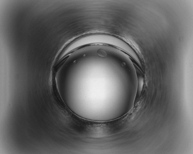 X0000096200108200801181349